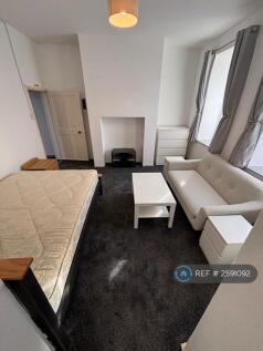 Bedroom/Living Room