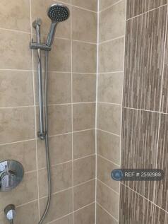 Bathroom - Shower Head