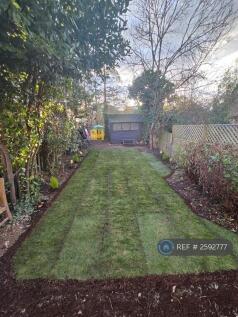 Back Garden