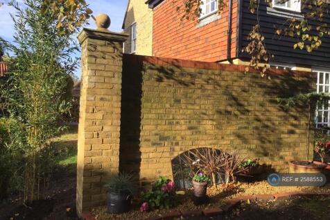 Back Garden 