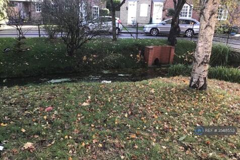 Back Garden 