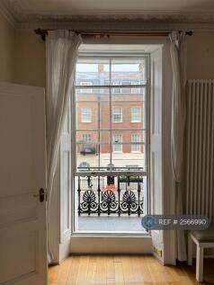 Living Room Window 