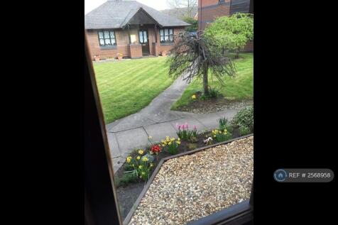 View From Window