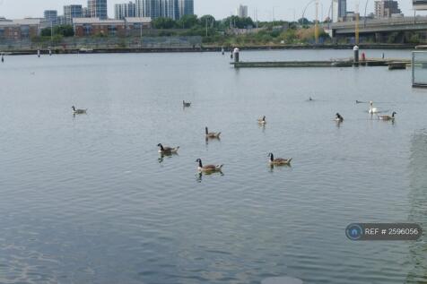 Picturesque Waterside Walks