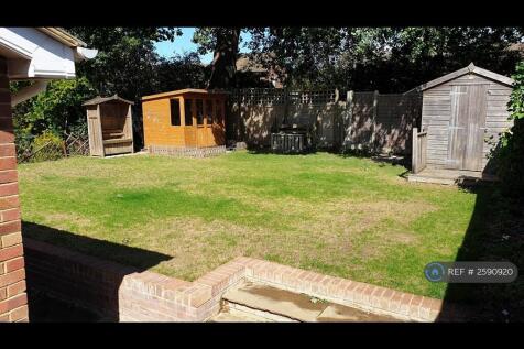 Back Garden
