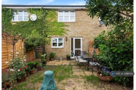 Back Garden