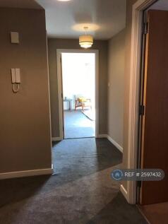 Hallway With New Carpet