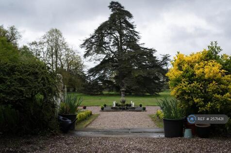 Formal Lawns To Barron&#39;s Cedar Of Lebanon