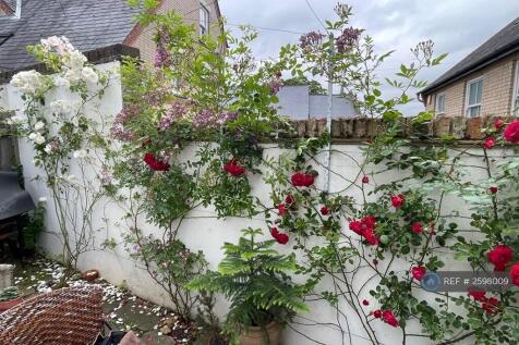 The Arbour 2 2024