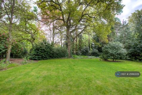 Communal Garden 