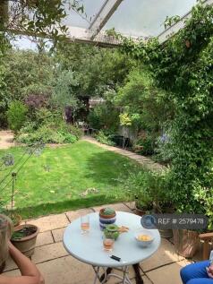 Garden From Kitchen