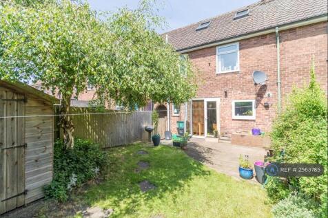Back Garden