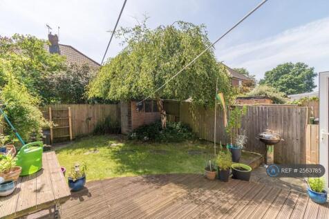 Back Garden