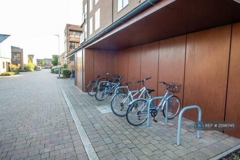 Cycle Stand