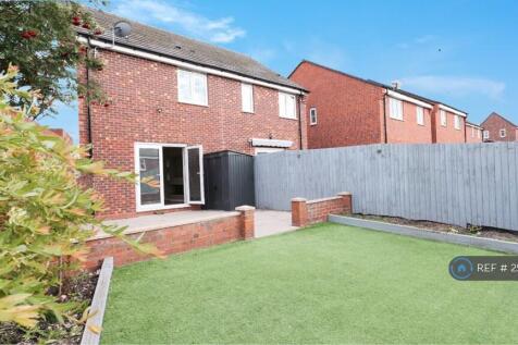 Back Garden