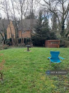 Garden With Shed