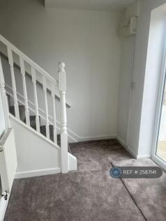 Downstairs Hallway