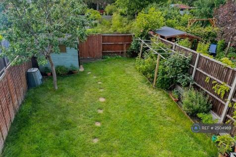 Back Garden