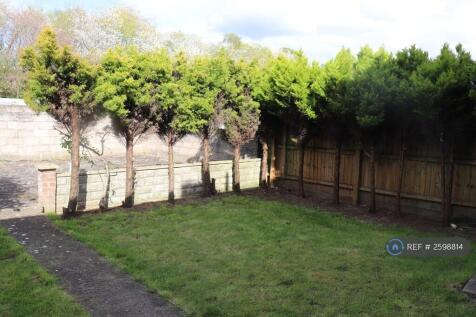 Back Garden 