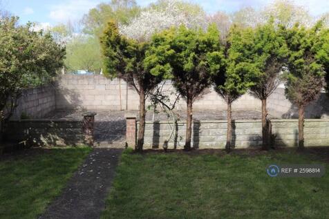 Back Garden