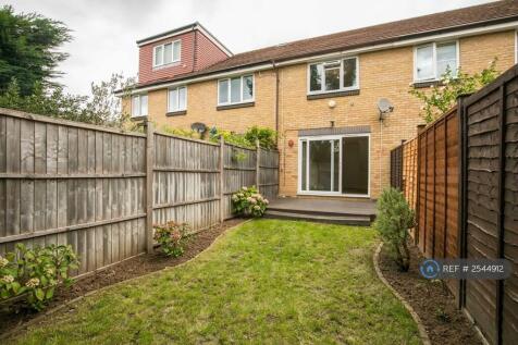Back Garden