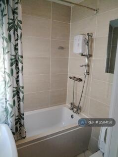 Bathtub With Electric And Gas Shower Unit