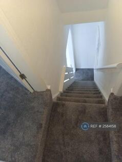 Carpeted Stairs And Bedrooms