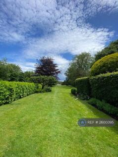Back Garden