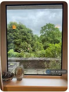 View From Living Room