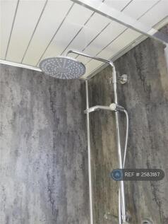 Rose Head/Flexi Shower Head