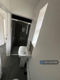 Downstairs Shower 