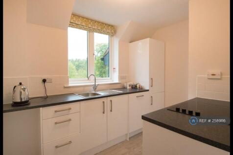 Well Appointed  Kitchen