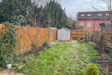 Garden In Winter