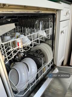 Kitchen Dishwasher 