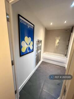 Large Bathroom