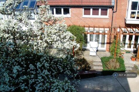 Pretty Shared Back Garden