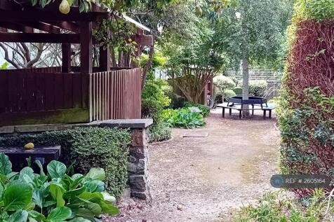 Garden And Seating