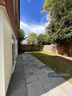 Back Garden