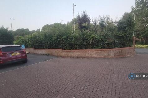 Front View -1