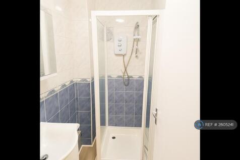 Contemporary Ensuite Shower Room (Shower &amp; Basin)