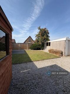 Back Garden
