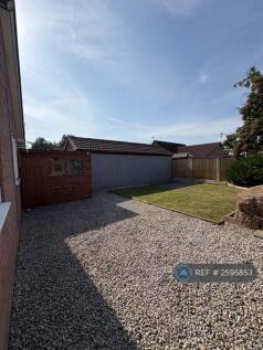 Back Garden