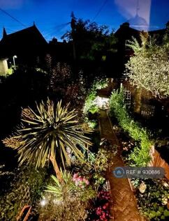 Full Garden Lights