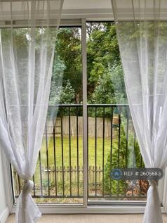 View From Living Room