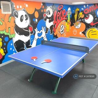 Table Tennis 