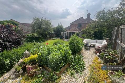 Garden From Terrace