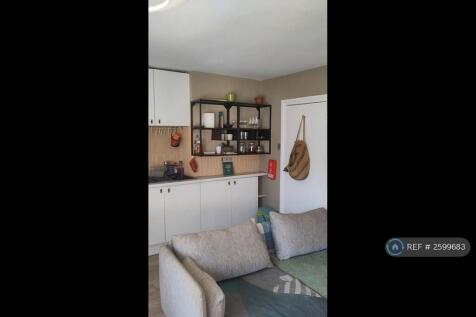 Kitchen In Living Space 