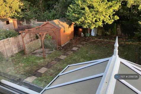 Garden From Bedroom