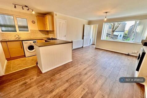 Open Plan Living Room And Kitchen