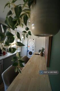 Professional Kitchen 